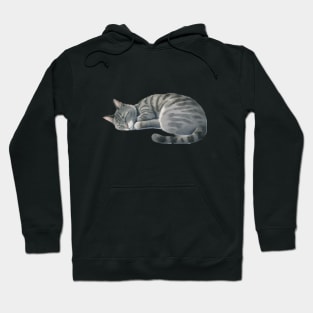 Sleeping Cat Hoodie